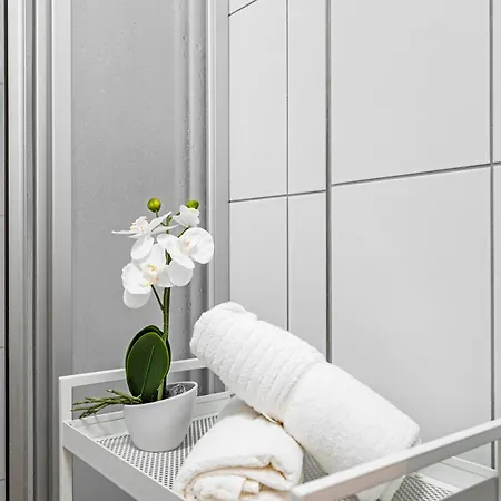 Karlsbad Apartments * Karlovy Vary
