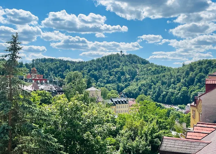 公寓 Karlsbad Apartments