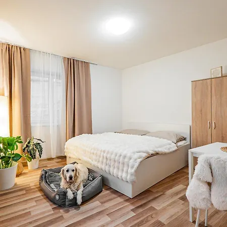 Karlsbad Apartments *