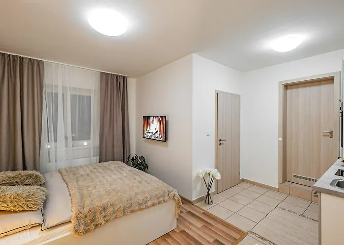 דירה Karlsbad Apartments קרלובי וארי