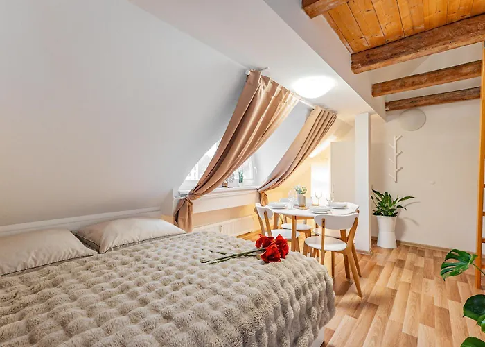 Karlsbad Apartments דירה קרלובי וארי