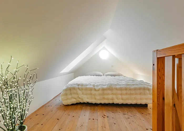 Karlsbad Apartments קרלובי וארי